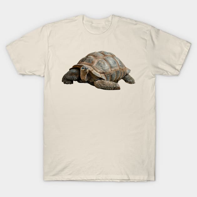 Giant Tortoise T-Shirt by dalyndigaital2@gmail.com